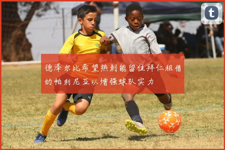 德泽尔比希望热刺能留住拜仁租借的帕利尼亚以增强球队实力